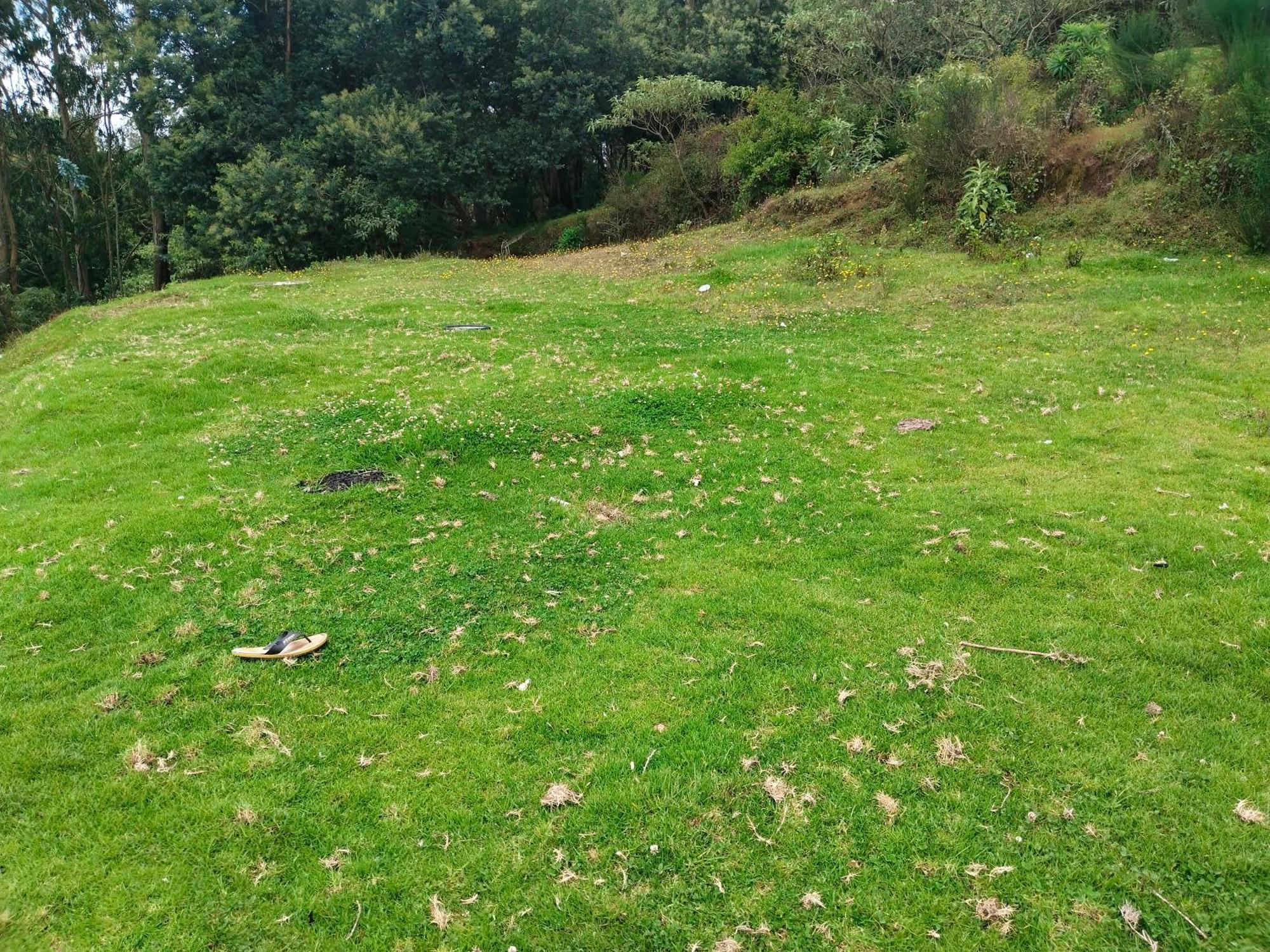 Bs Dreamz Ooty Apartment ภายนอก รูปภาพ